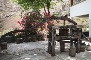 Il meglio di Santo Antão: escursione in auto con traghetto da SV