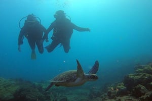 Programma Discover Scuba Diving per principianti