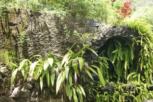 From Praia: Santiago Island Full-Day Tour with Lunch