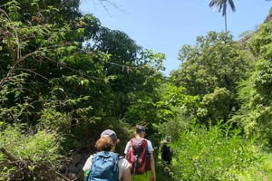 From the beach: Trekking in the Rui Vaz Natural Park - Longueira - Botanical Garden