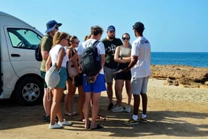 Escursione di mezza giornata tutto compreso Salinas, Shark Bay Blue Eye