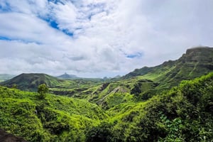 Island tour with German-speaking guide for cruise guests