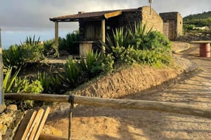 Monte Verde by Car & Tea House – São Vicente’s Highest Point