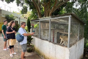 Praia: Day Trip to Assomada with Cooking, Tasting, & Dance