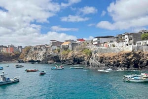 Praia: plantacja kokosów Pedra Badejo i gotowanie