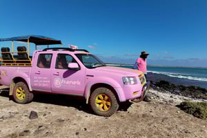 Sal: Island tour with offroad touch and creative pictures