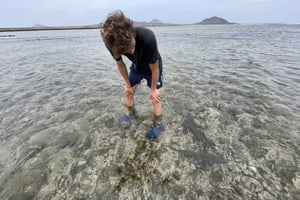 Sal: Lemon Shark Bay og Pedra de Lume Salt Lakes Tour