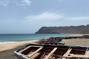 São Pedro -kokemus (vaellus ja snorklaus kilpikonnien kanssa)