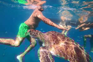 São Vicente: Snorkeling with Turtles Breathtaking Experience