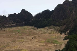 Cova–Paúl Valley Trek: Santo Antão Day Trip by Ferry