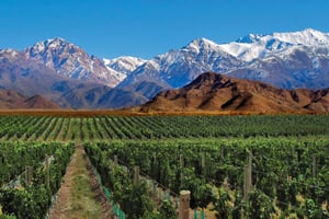 4-dagers tur til Mendoza og Andesfjellene