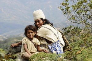 Arhuaco-indfødteoplevelse i Minca: Natur og visdom