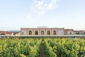 Aÿ-Champagne: Champagnemuseet Pressoria med provsmakning