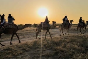 Kappadokien: Naturskøn kameltur ved solnedgang eller solopgang