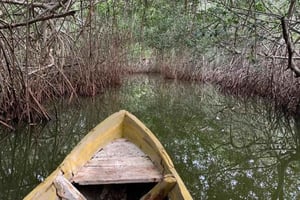 Cartagena: Kanotur med fugleobservation, transport og snack