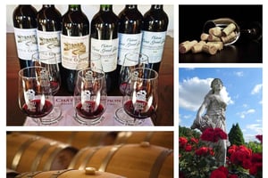 Château Champion: Prestige-besøg 'Terroirs og årgange'