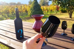 Château Champion: Sensory Workshop