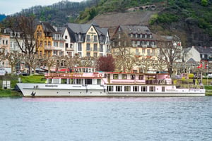 Cochem: Panoramic Cruise on the Moselle River
