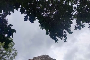 Costa Maya: Verkostung von Chacchoben und Ananasscheiben