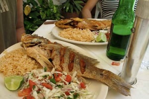 Tour gastrónomico de Cozumel