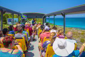 Cozumel: Wycieczka po mieście z otwartym dachem i odpoczynek na plaży