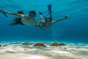 Cozumel: Snorklingstur till Palancar, Columbia och Cielo Reefs