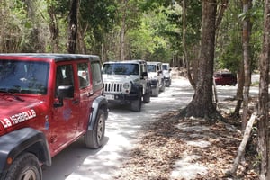 Cozumel: Privat tur med jeep Landutflykt