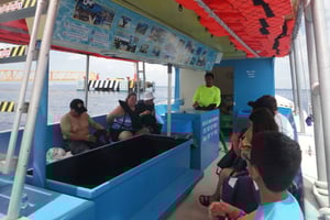 Косумель: частный VIP-тур на лодке со стеклянным дном и подводным плаванием