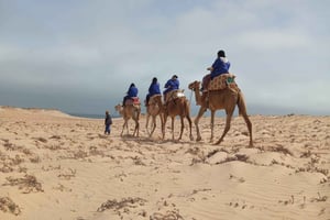 Dakhla: Przejażdżka na wielbłądzie
