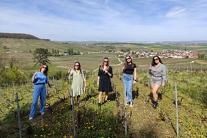 Degustacja szampana i panoramiczna wycieczka po winnicach