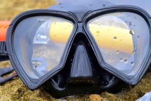 De Cancun: Snorkeling em Cozumel O Paraíso