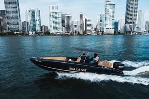 Da Cartagena: tour in barca privato alle Isole del Rosario