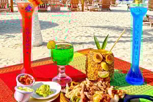 Fra Cozumel: Chankanaab Admision + Snorkling + Åben Bar + Frokost