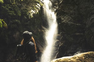 A partir de Medellín: Caminhada guiada pela trilha antiga até a cachoeira