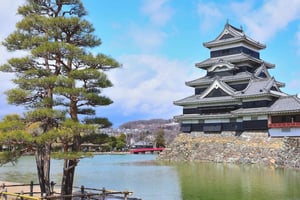 Fra Nagano og Tokyo: Privat dagstur med sneaber – tilpas