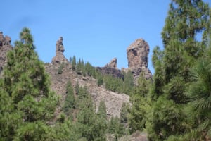 Desde Las Palmas: excursión de día completo al Pico de las Nieves y al Roque Nublo