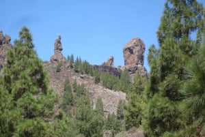 Z Palmas: Pico de las Nieves i Roque Nublo – wycieczka całodniowa