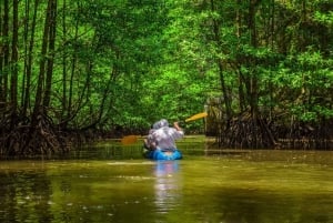 San Josesta: 3 päivän retki Tortugueron kansallispuistoon