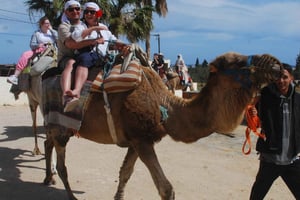 A partir de Sousse ou Monastir: Passeio de camelo em Kantaoui