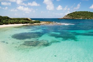 Fra St John's: Half Moon Bay Beach Halvdagstur med van