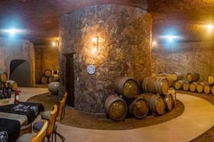 From Tijuana: Valle de Guadalupe Shared Winery Tour