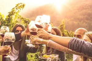 Женевская сельская местность, дегустация вин, аперитив, замок на электровелосипеде