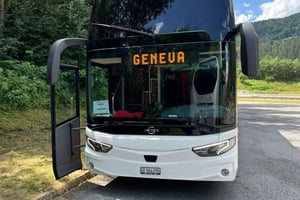 Geneva: Transfer from Geneva to Chamonix