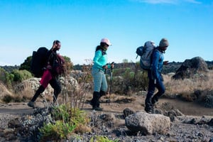 Få din topguide til 5-dages Marangu-ruten på Kilimanjaro