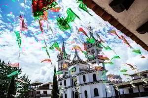 Guadalajara: Mazamitla Tour and Natural Park