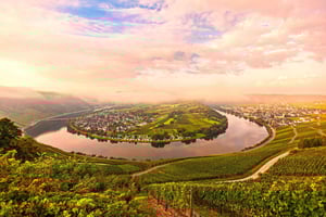 Kröv/Gut Hermes: Paseo en carreta panorámica por el Mosel con cava y cata de vinos