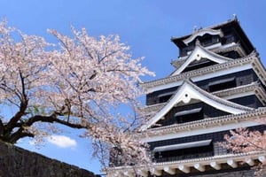 Kumamoto: bilet wstępu do zamku