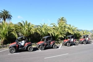 La Palma: Buggy Adventure along the Volcanic Coast (3h)