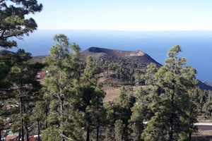 La Palma: San Antonio and Teneguia Volcanos Tour by 4x4 Bus
