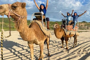 Los Cabos: tour in All-terrain vehicle, cammello, cavallo e sky bike con tequila